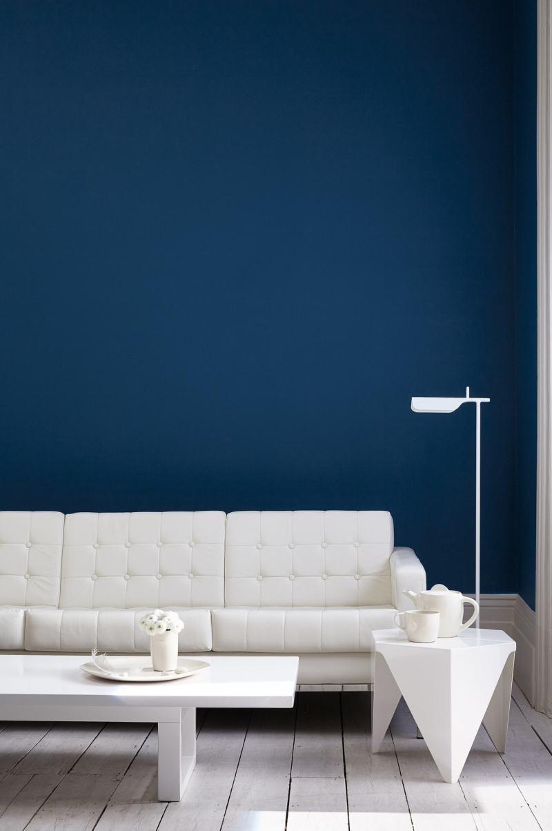 Navy blue shop wall paint